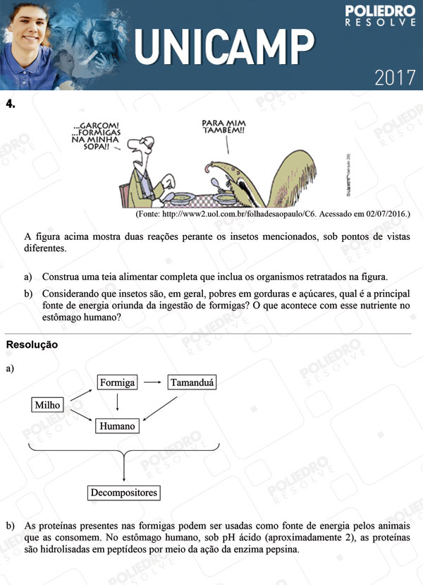 Dissertativa 4 - 2ª Fase 3º DIA - Unicamp 2017