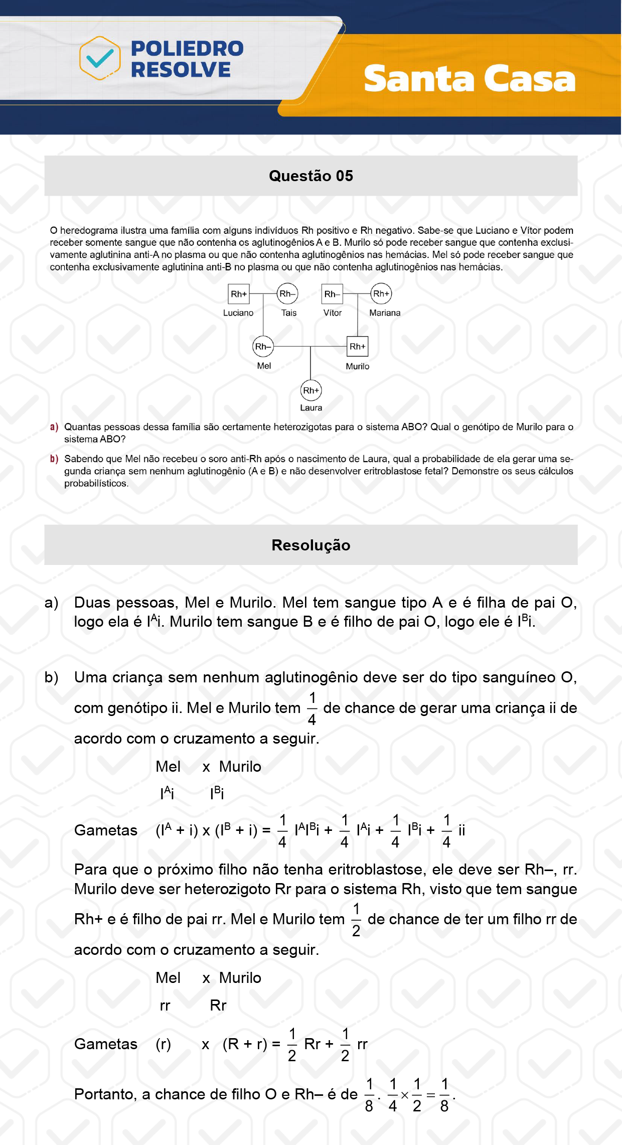 Dissertativa 5 - 2º Dia - Santa Casa 2024