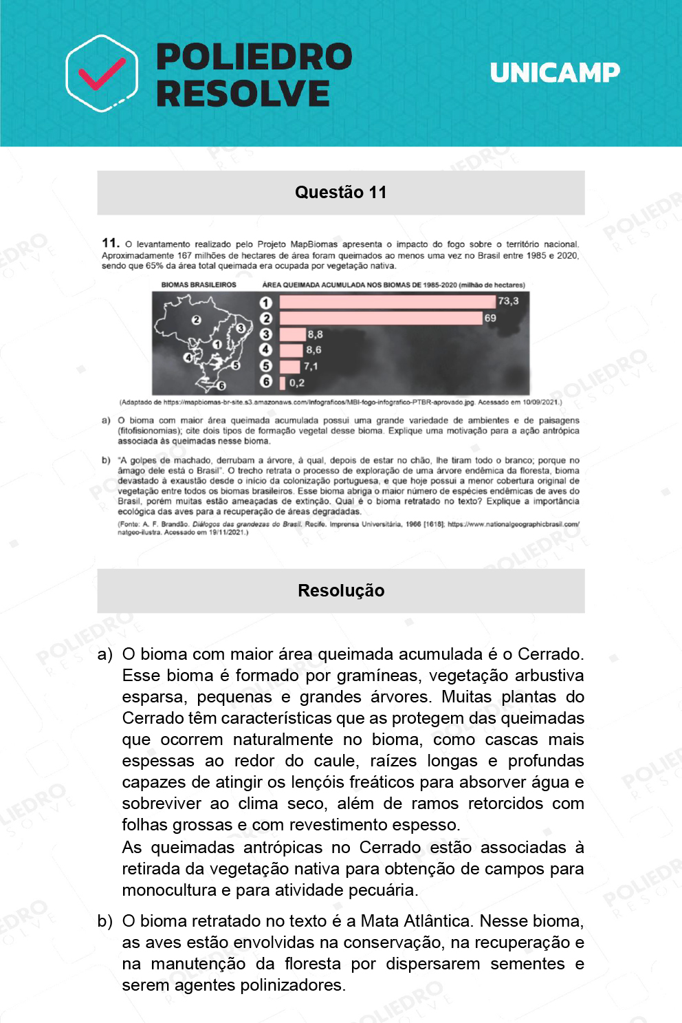 Dissertativa 11 - 2ª Fase - 2º Dia - Unicamp 2022