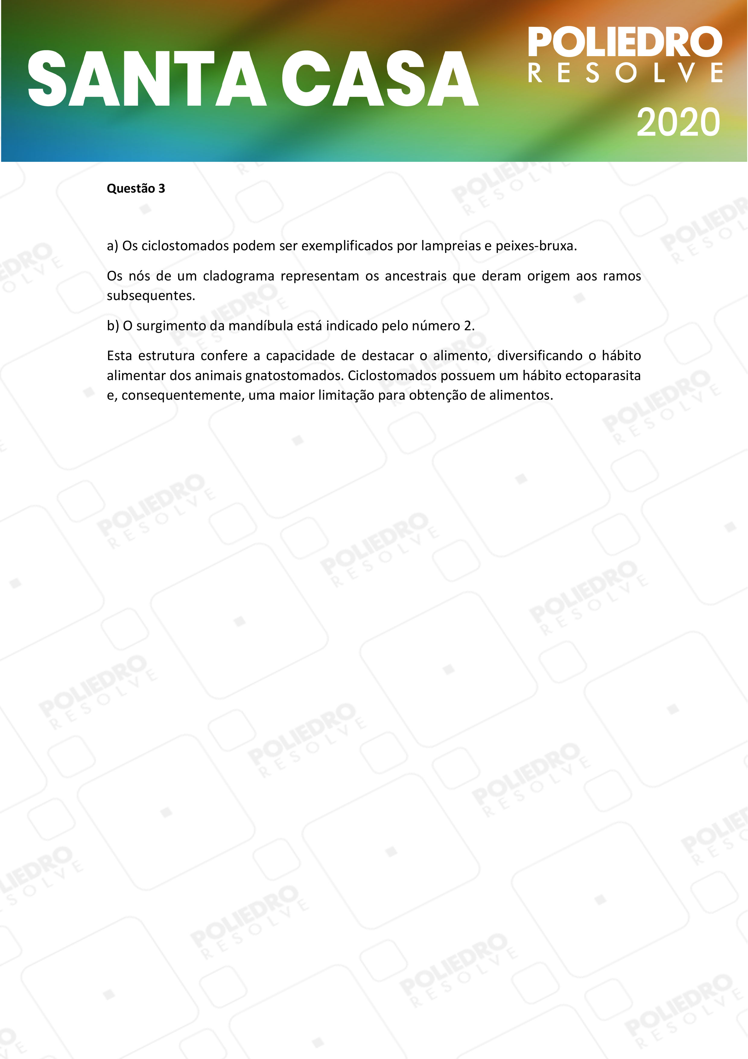 Dissertativa 3 - 1º Dia - Santa Casa 2020