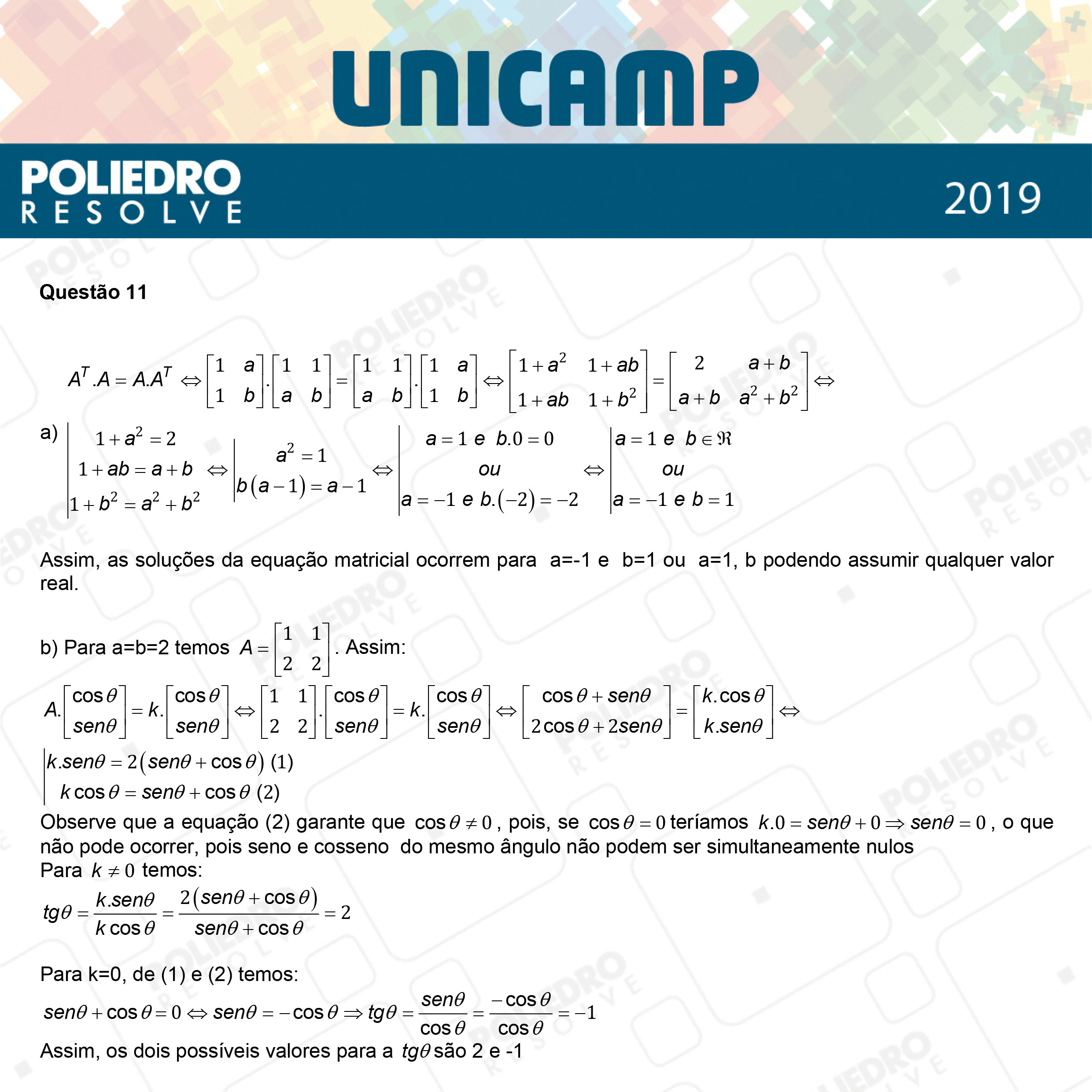 Dissertativa 11 - 2ª Fase - 2º Dia - Unicamp 2019