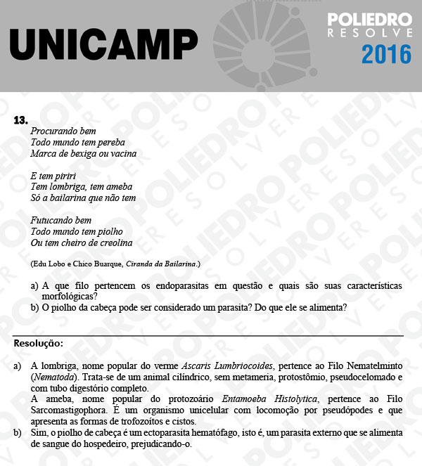 Dissertativa 13 - 2ª Fase 3º Dia - Unicamp 2016