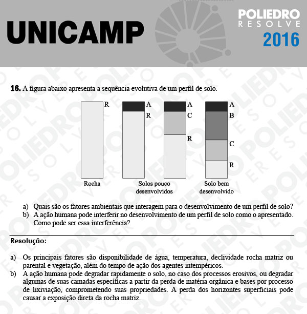 Dissertativa 16 - 2ª Fase 2º Dia - Unicamp 2016