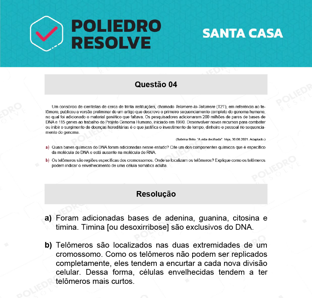 Dissertativa 4 - 2º Dia - Santa Casa 2022