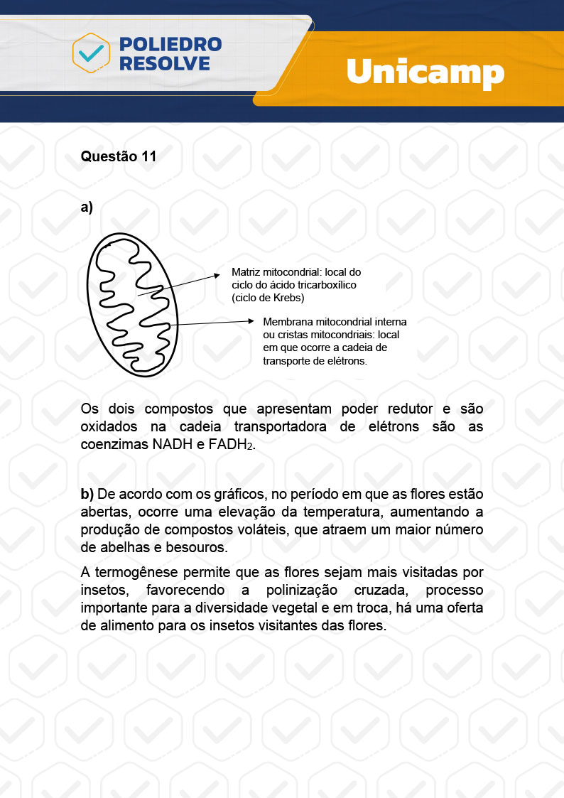Dissertativa 11 - 2ª Fase - 2º Dia - Unicamp 2024