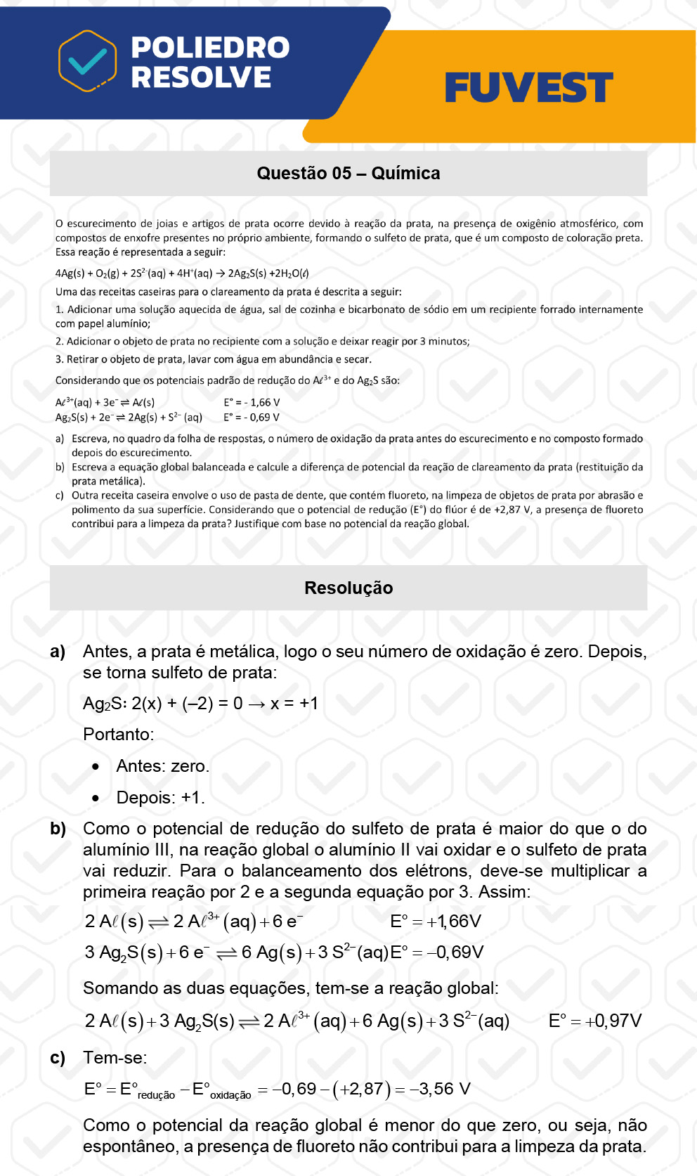 Dissertativa 5 - 2ª Fase - 2º Dia - Fuvest 2023
