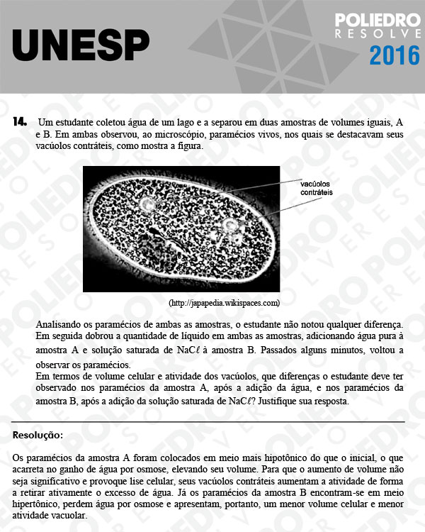 Dissertativa 14 - 2ª Fase - Unesp 2016
