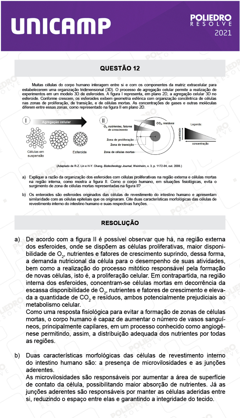 Dissertativa 12 - 2ª Fase - 2º Dia - Unicamp 2021