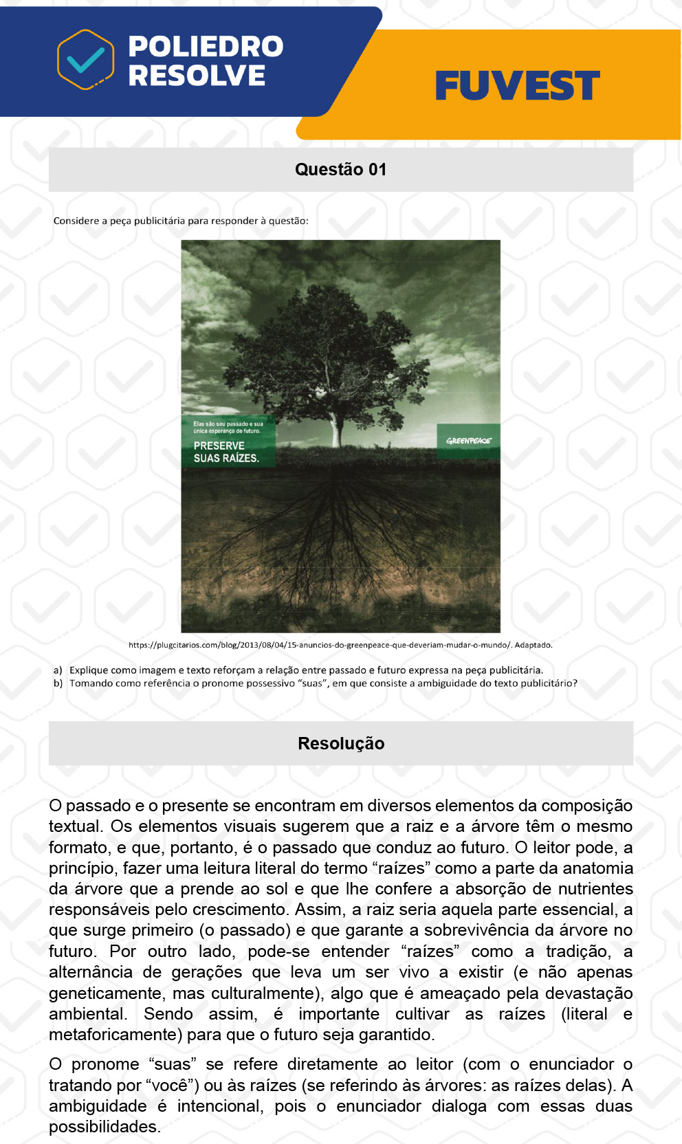 Dissertativa 1 - 2ª Fase - 1º Dia - Fuvest 2023