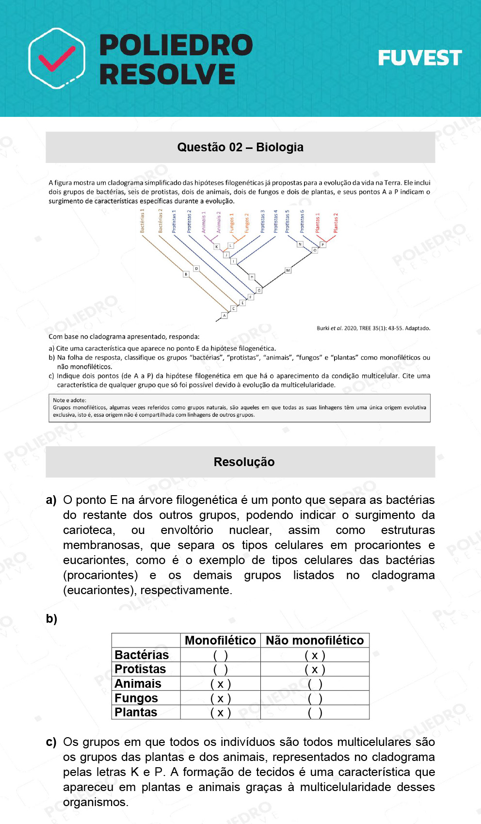 Dissertativa 2 - 2ª Fase - 2º Dia - Fuvest 2022
