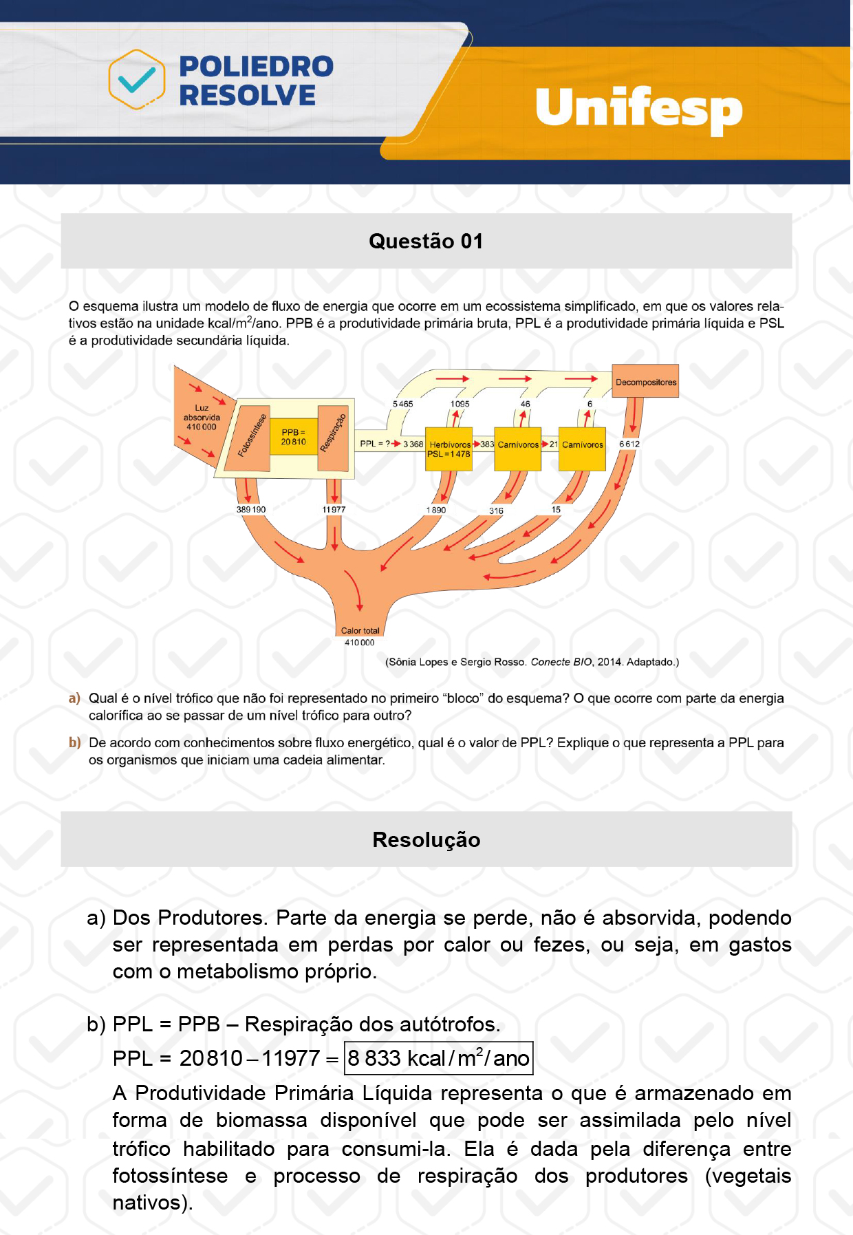 Dissertativa 1 - 2º Dia - Reaplicação - Unifesp 2024