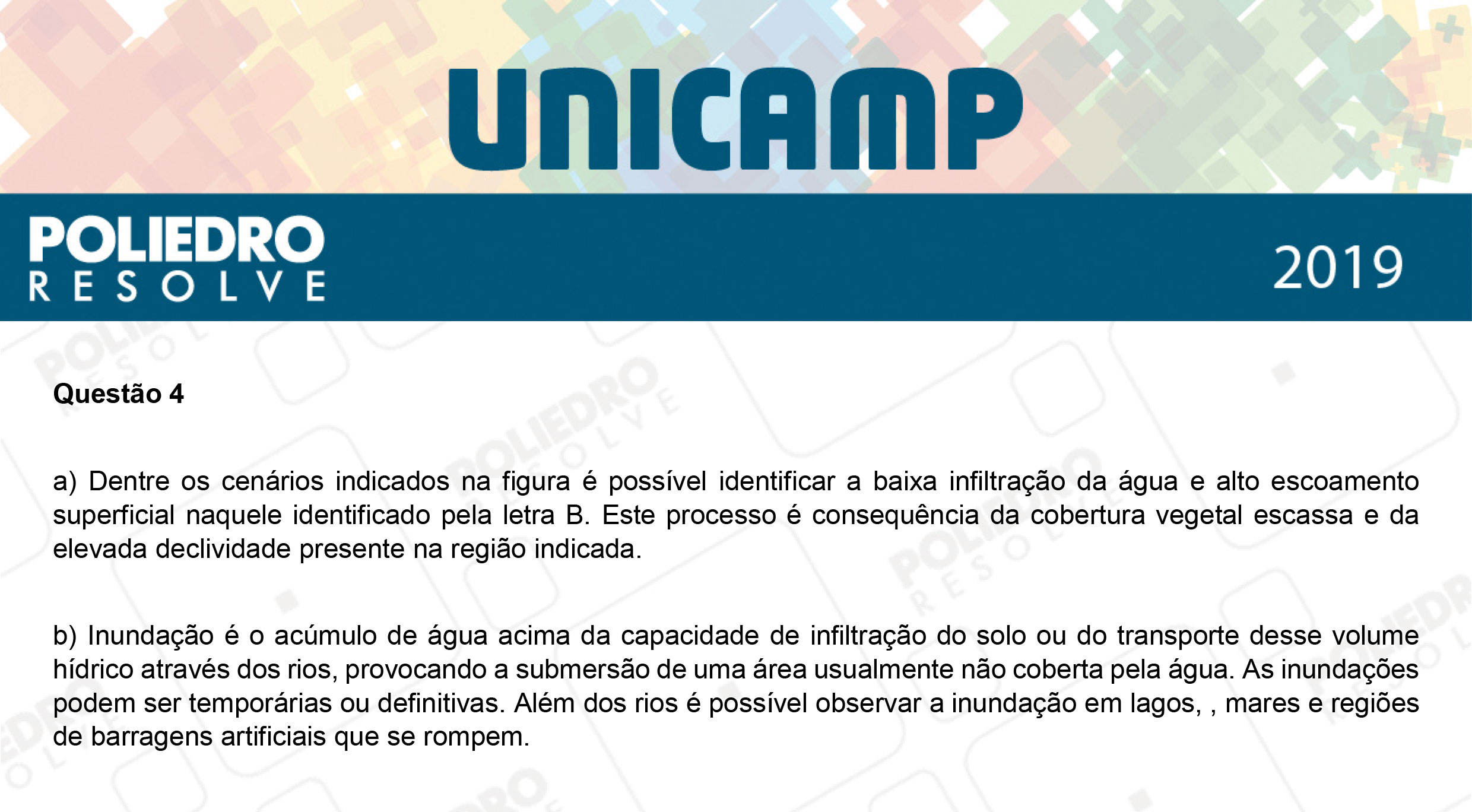 Dissertativa 4 - 2ª Fase - 2º Dia - Unicamp 2019
