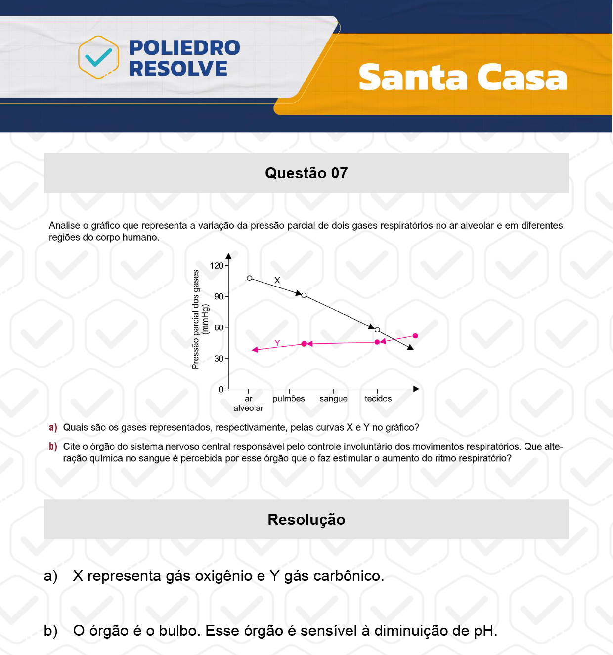 Dissertativa 7 - 2º Dia - Santa Casa 2024