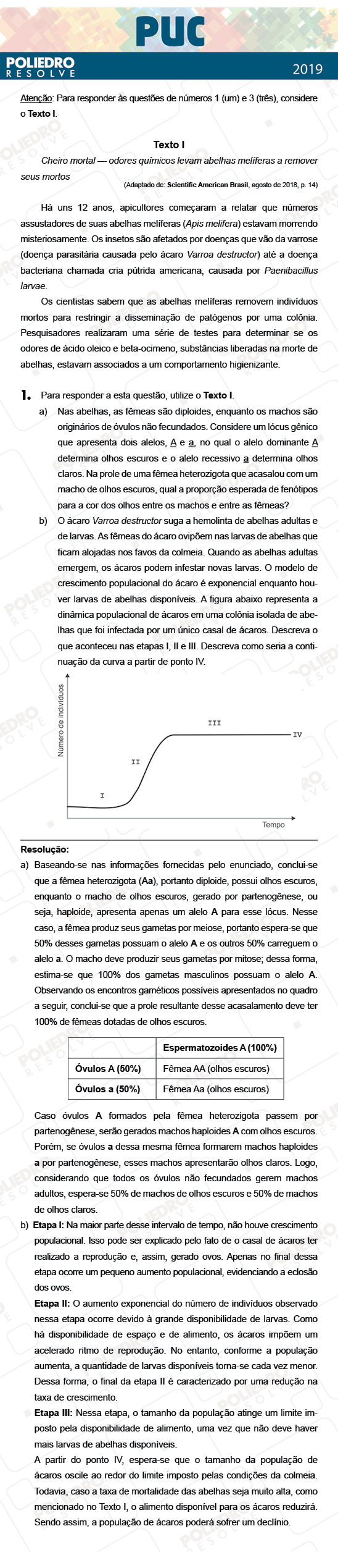 Dissertativa 1 - 2ª Fase - PUC Campinas 2019