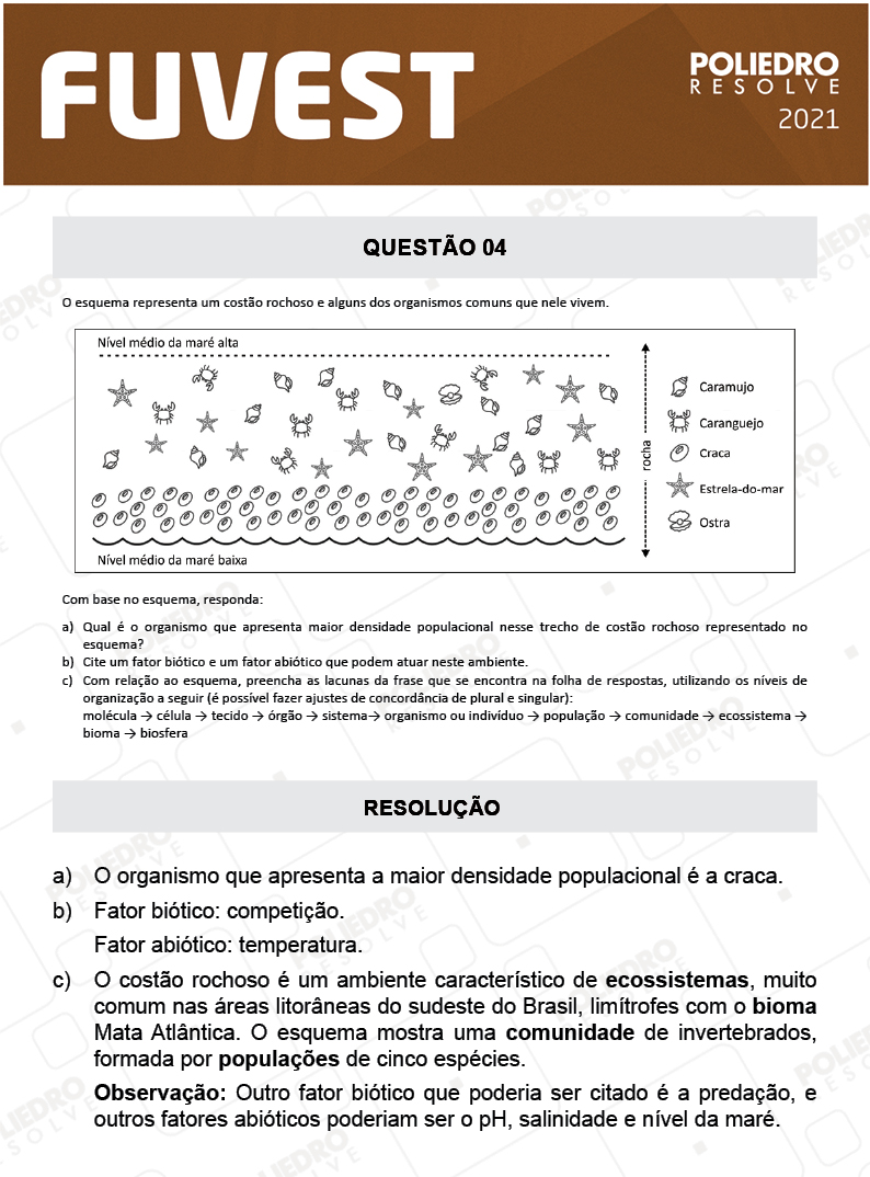 Dissertativa 4 - 2ª Fase - 2º Dia - Fuvest 2021