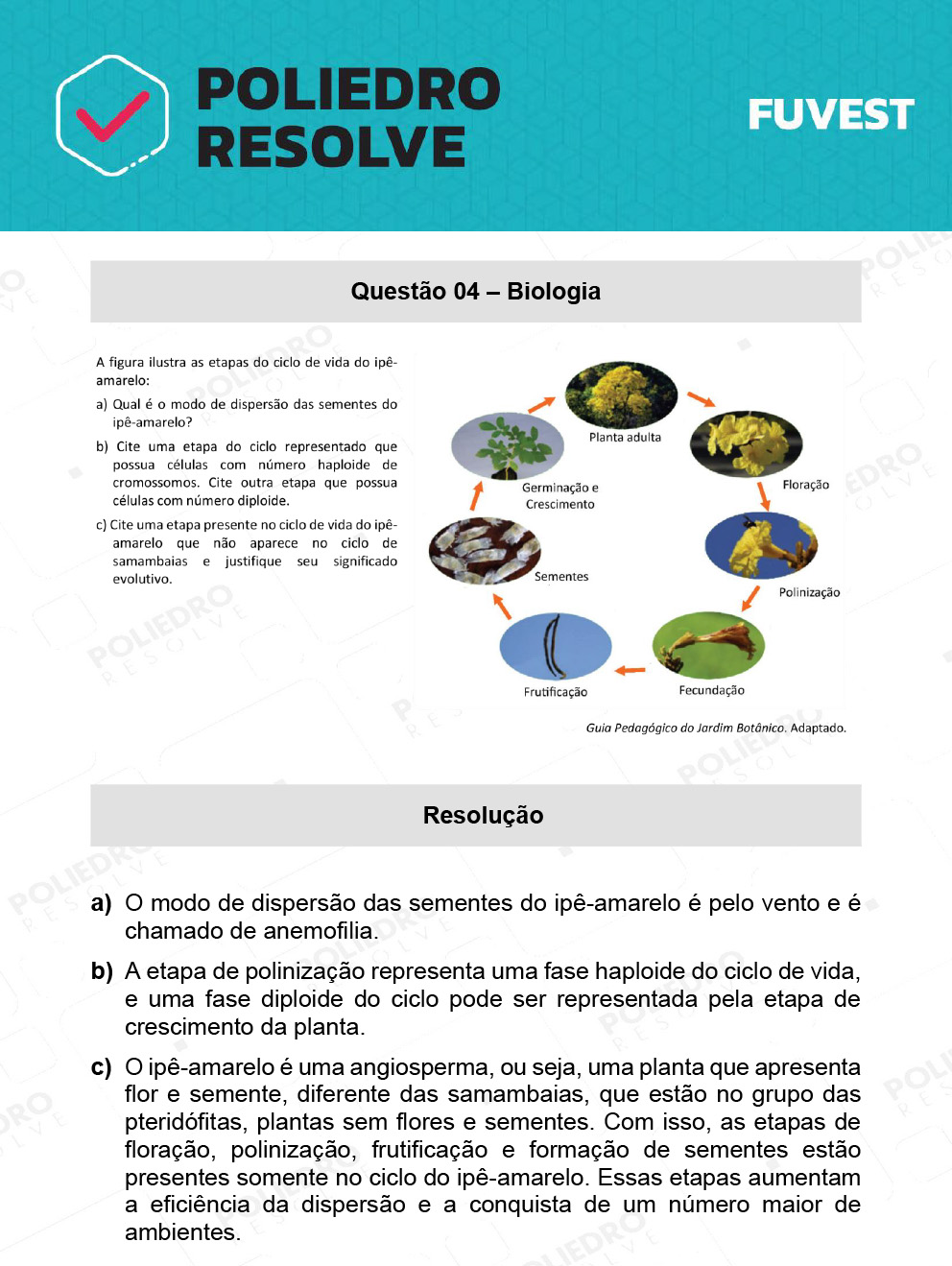 Dissertativa 4 - 2ª Fase - 2º Dia - Fuvest 2022