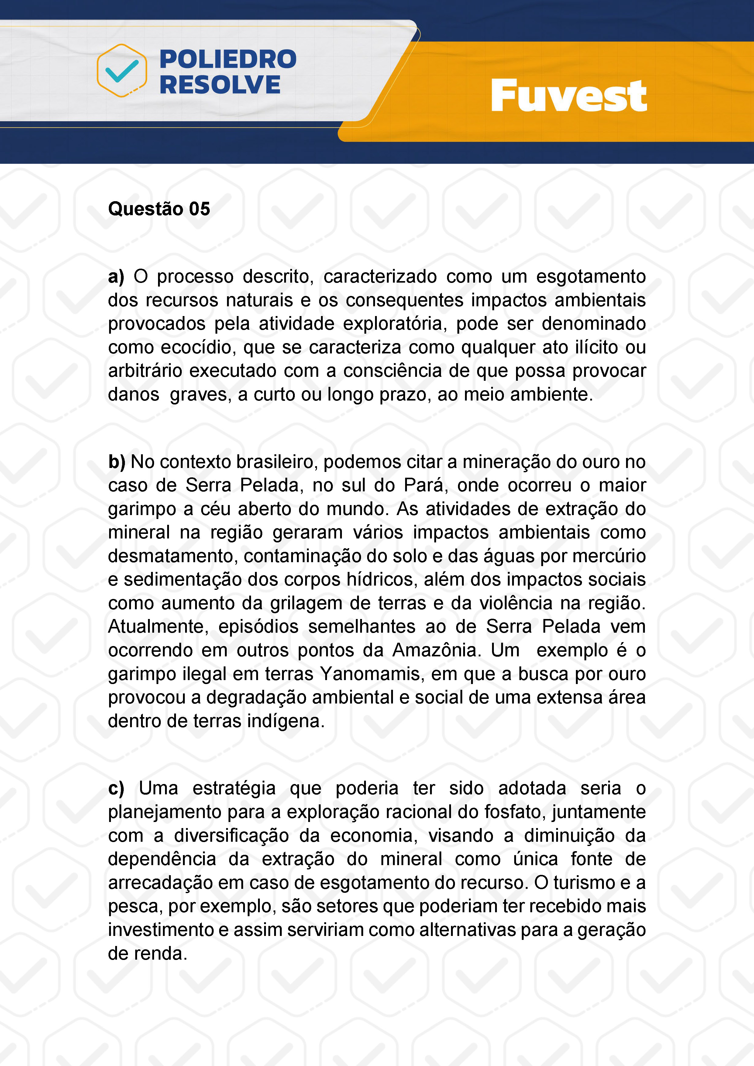 Dissertativa 5 - 2ª Fase - 2º Dia - Fuvest 2024