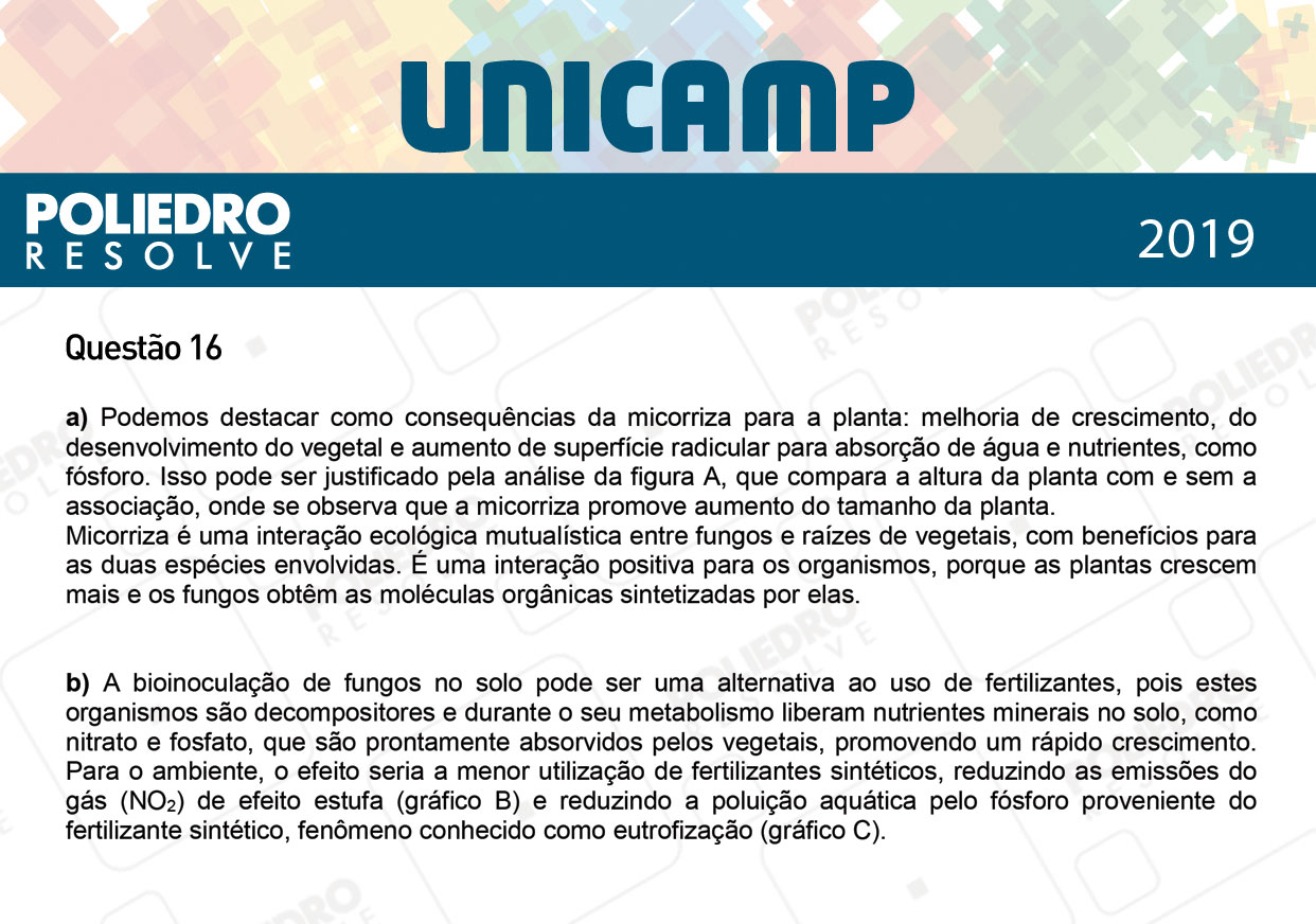 Dissertativa 16 - 2ª Fase - 3º Dia - Unicamp 2019