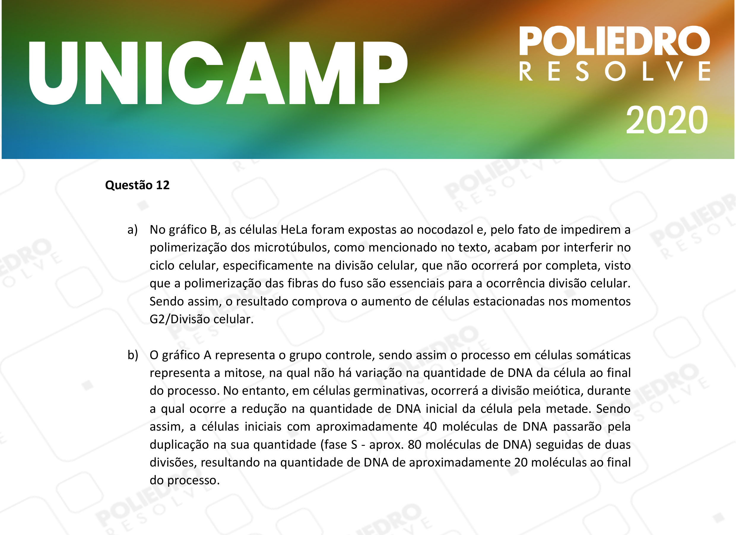 Dissertativa 12 - 2ª Fase - 2º Dia - Unicamp 2020