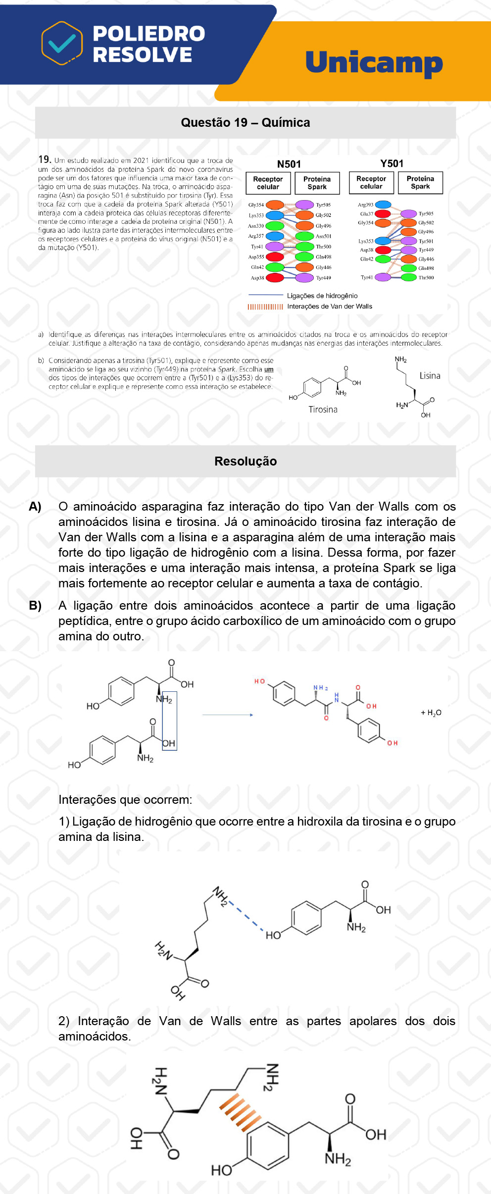 Dissertativa 19 - 2ª Fase - 2º Dia - Unicamp 2023