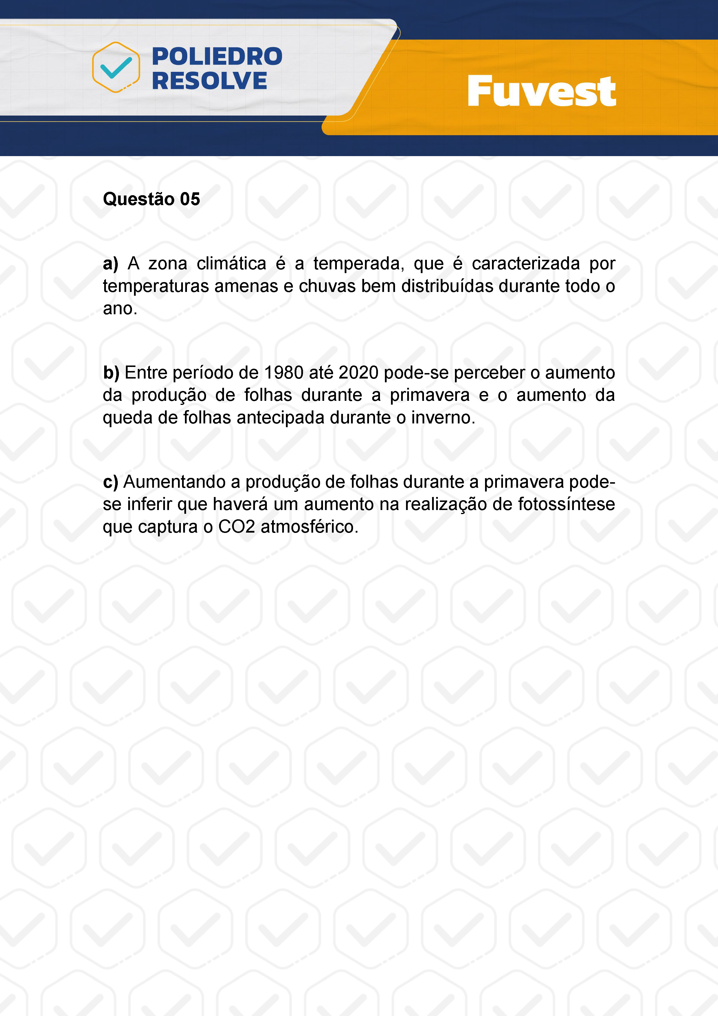 Dissertativa 5 - 2ª Fase - 2º Dia - Fuvest 2024