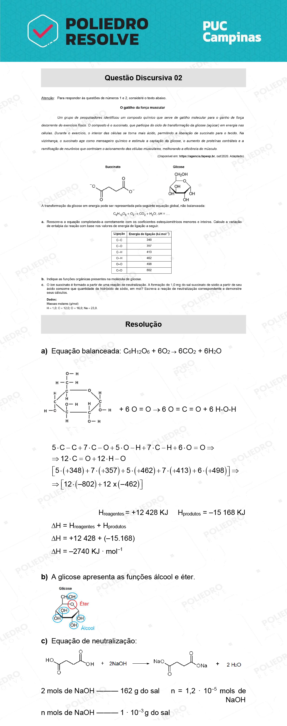 Dissertativa 2 - Prova Geral e Medicina - PUC Campinas 2022