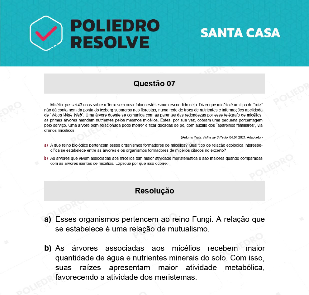 Dissertativa 7 - 2º Dia - Santa Casa 2022