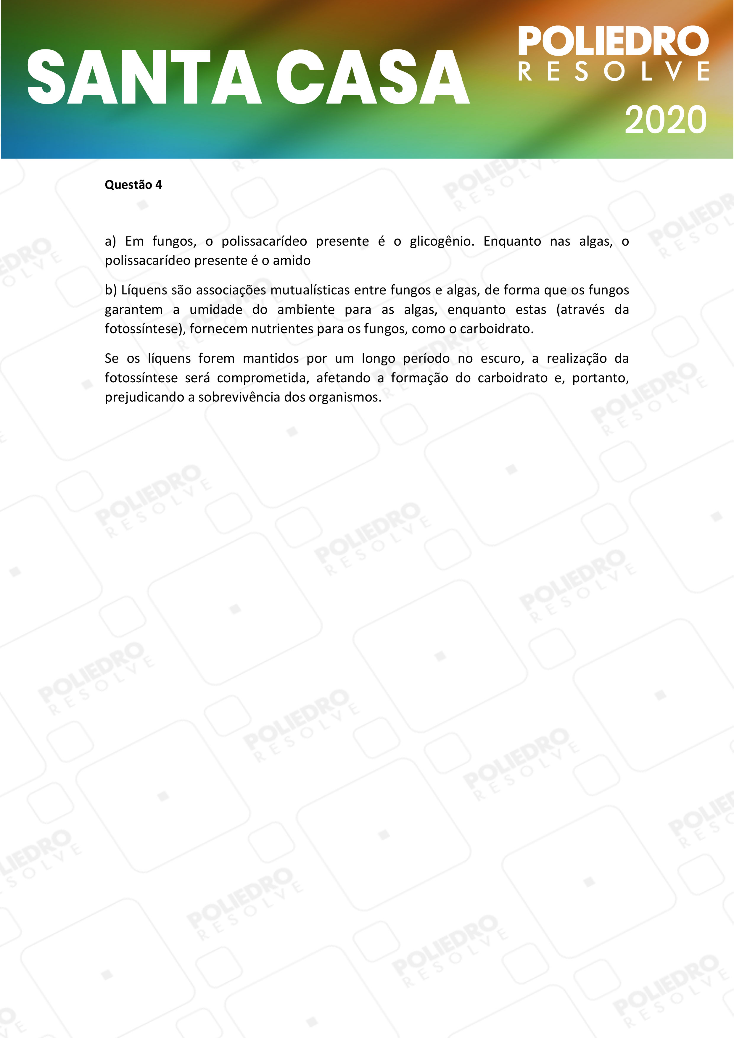 Dissertativa 4 - 1º Dia - Santa Casa 2020