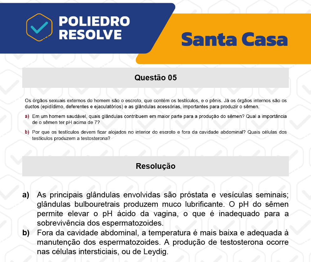 Dissertativa 5 - 2º Dia - Santa Casa 2023