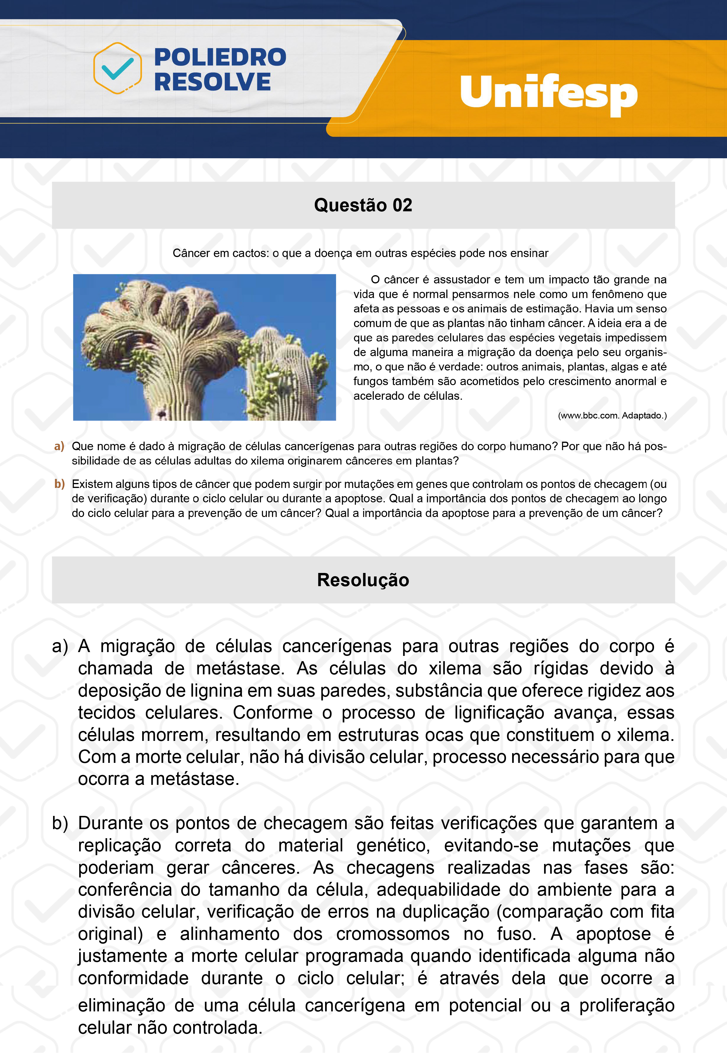 Dissertativa 2 - 2º Dia - Unifesp 2024
