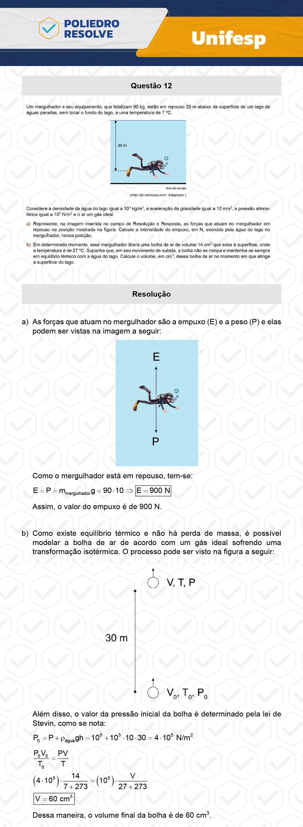 Dissertativa 12 - 2º Dia - Unifesp 2024