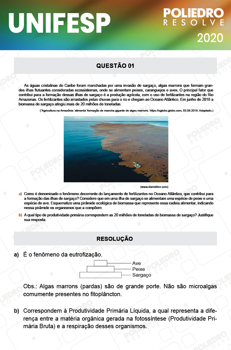 Dissertativa 1 - Fase única - 2º Dia - Unifesp 2020