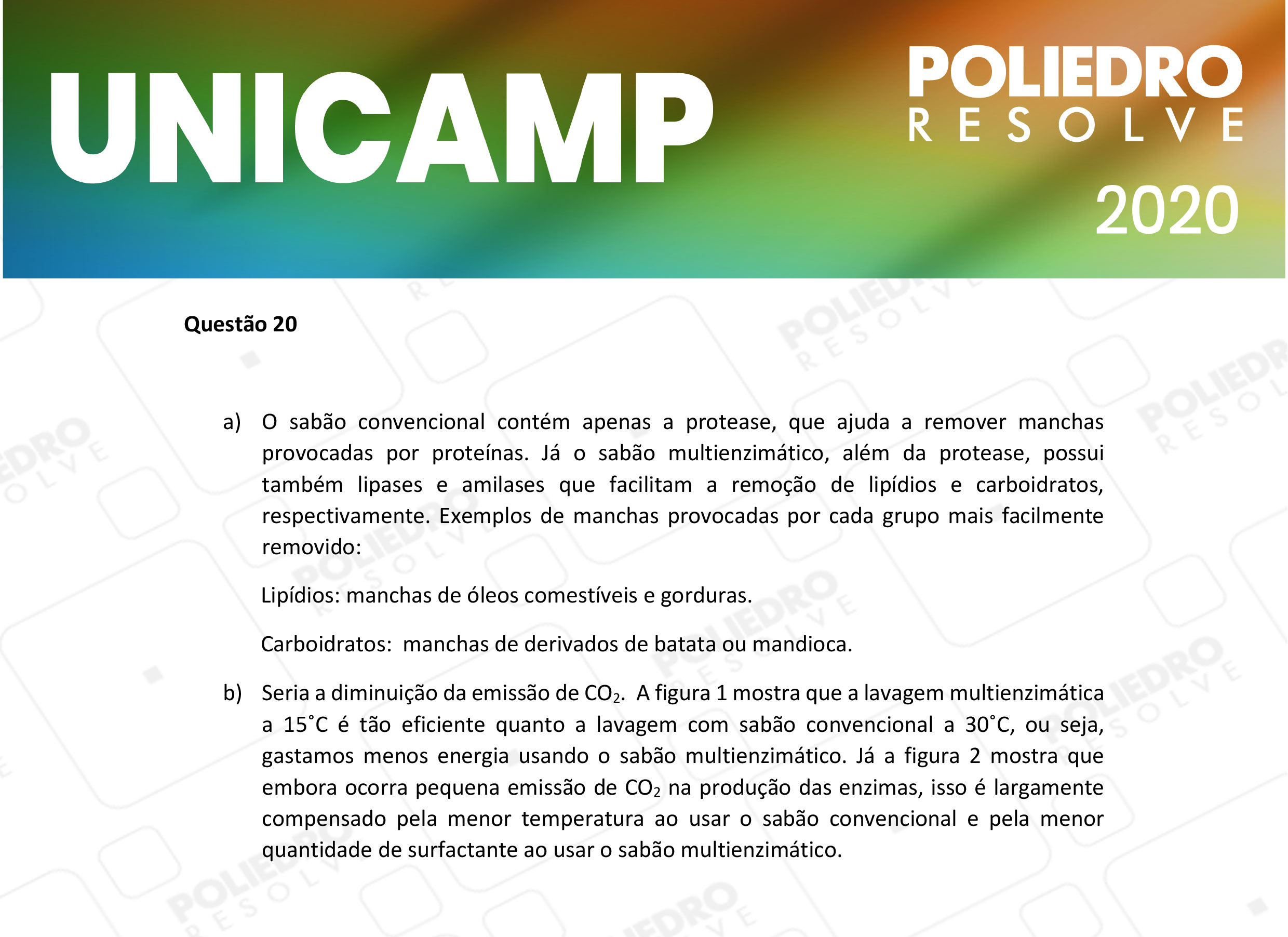 Dissertativa 20 - 2ª Fase - 2º Dia - Unicamp 2020