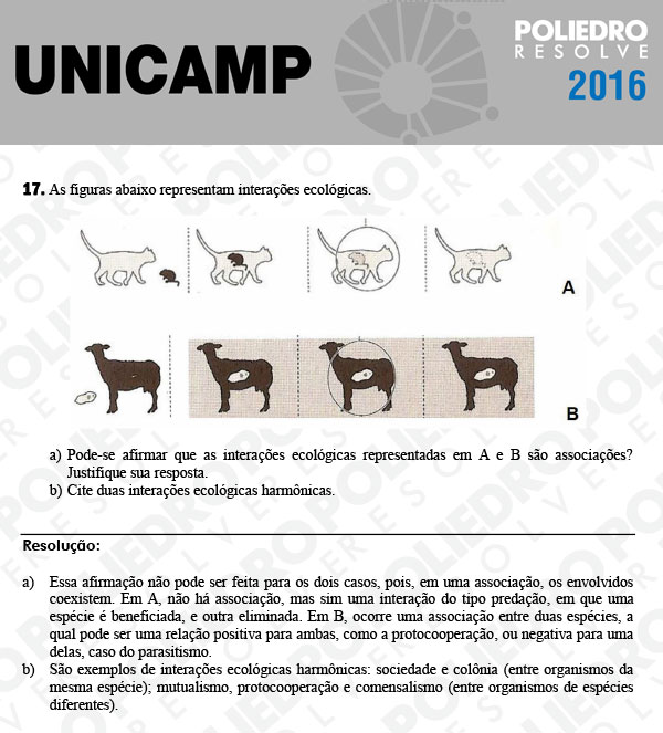 Dissertativa 17 - 2ª Fase 3º Dia - Unicamp 2016