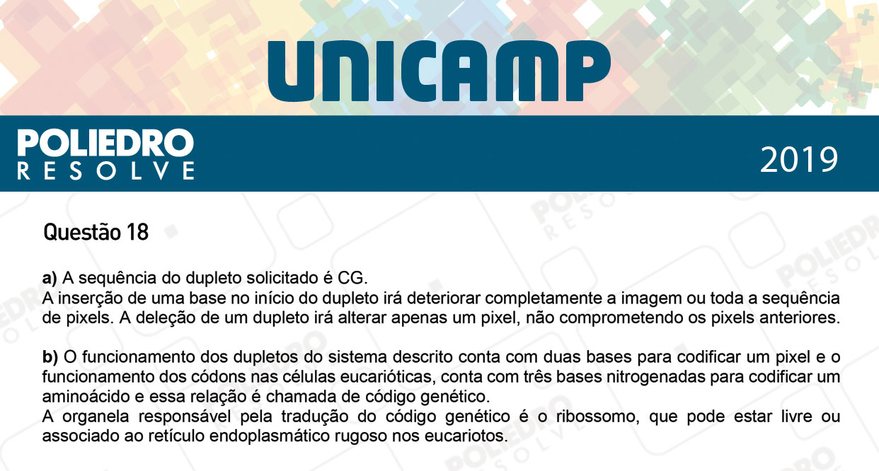 Dissertativa 18 - 2ª Fase - 3º Dia - Unicamp 2019