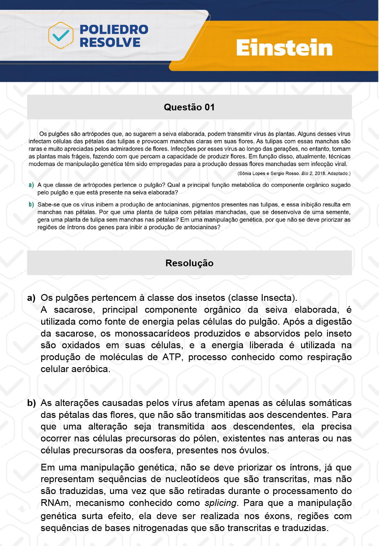 Dissertativa 1 - Fase única - Einstein 2024